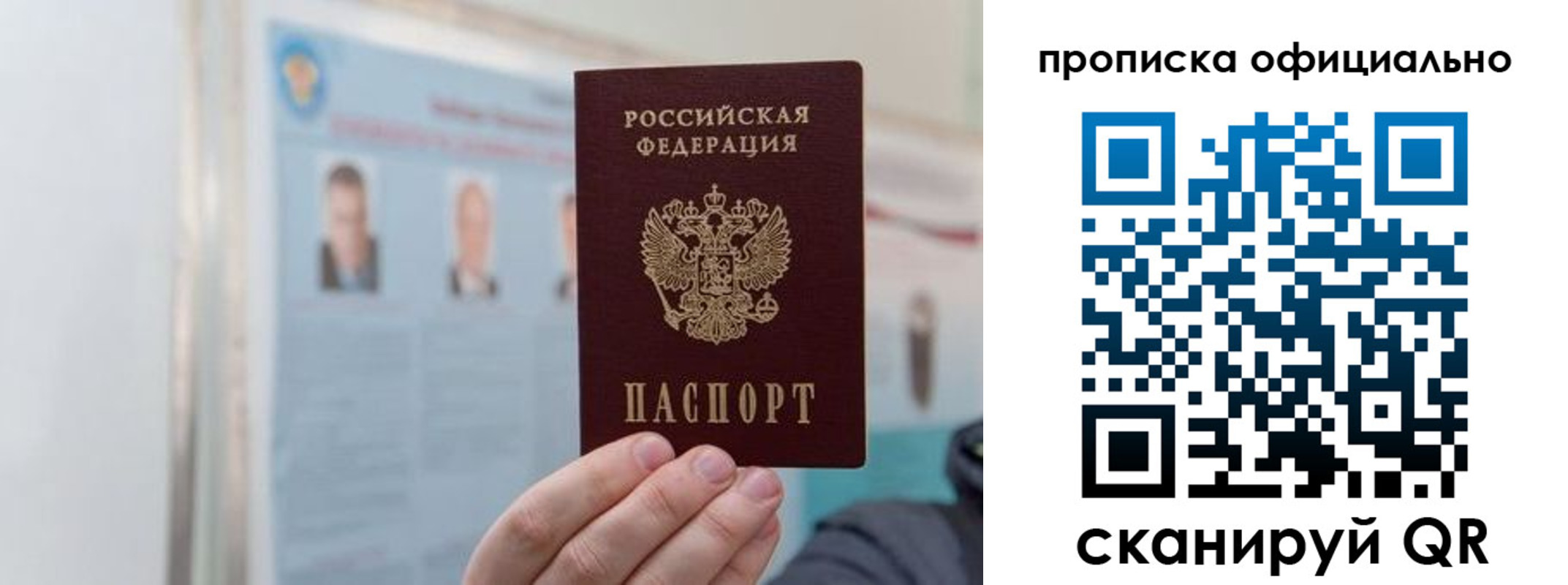 прописка гарантия в Волоколамске